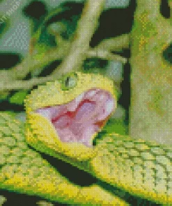 African Bush Viper Diamond Painting