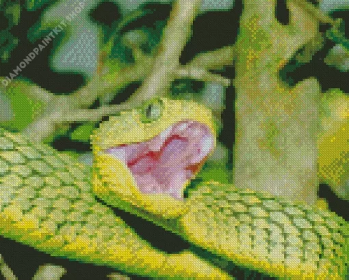 African Bush Viper Diamond Painting