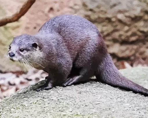 Asian Small Clawed Otter Diamond Painting