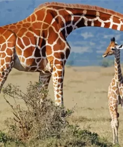 Baby And Mom Giraffe Diamond Painting