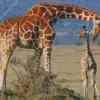 Baby And Mom Giraffe Diamond Painting