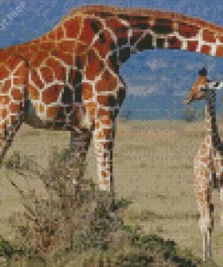 Baby And Mom Giraffe Diamond Painting