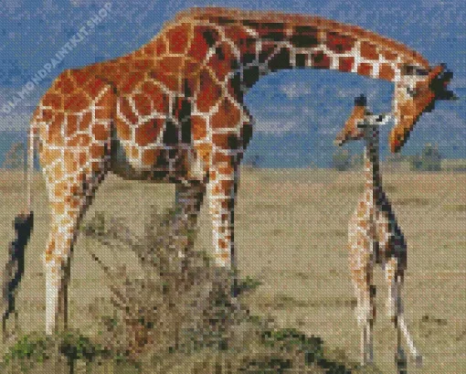 Baby And Mom Giraffe Diamond Painting