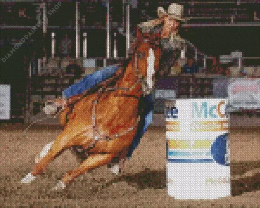 Barrel Racer Diamond Painting