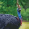 Black Cassowary Diamond Painting