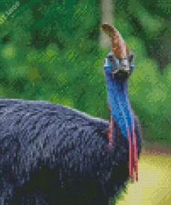 Black Cassowary Diamond Painting