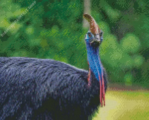 Black Cassowary Diamond Painting