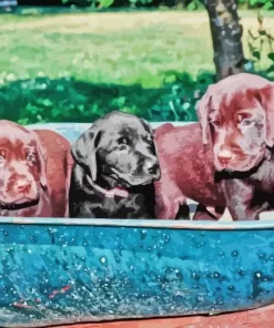 Black Vs Chocolate Labs Diamond Painting