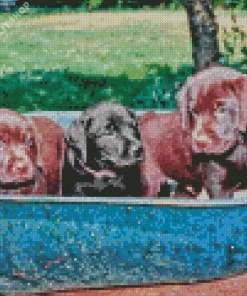 Black Vs Chocolate Labs Diamond Painting