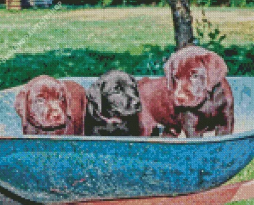 Black Vs Chocolate Labs Diamond Painting