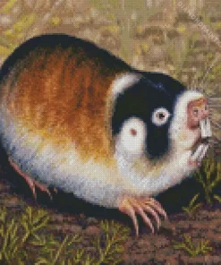 Blesmol Rodent Diamond Painting