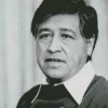 Cesar Chavez Diamond Painting