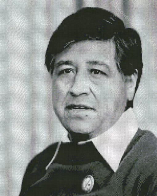 Cesar Chavez Diamond Painting