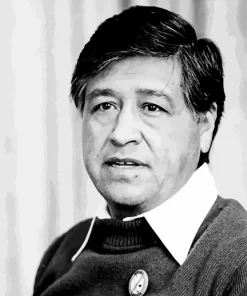 Cesar Chavez Diamond Painting