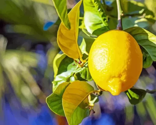 Lemon Plant Diamond Painting