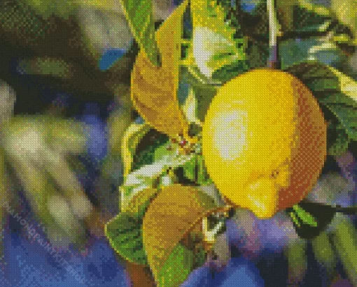 Lemon Plant Diamond Painting