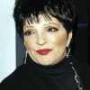 Liza Minnelli Actress Diamond Painting