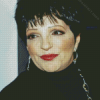 Liza Minnelli Actress Diamond Painting