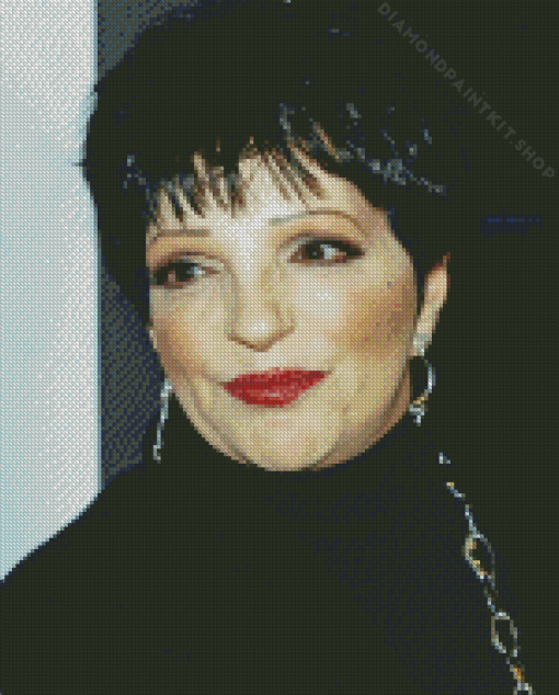 Liza Minnelli Actress Diamond Painting