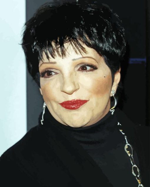 Liza Minnelli Actress Diamond Painting