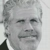 Monochrome Ron Perlman Diamond Painting