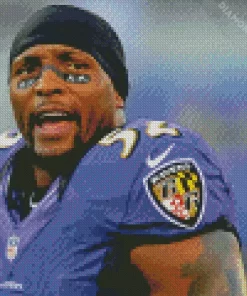 Ray Lewis Player Diamond Painting