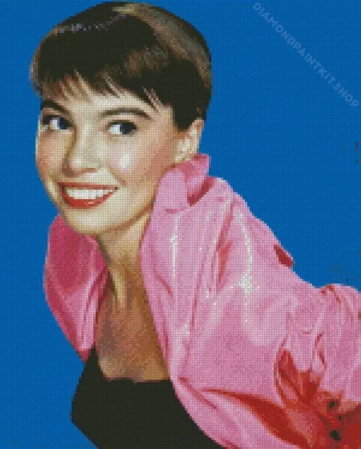 The Actress Leslie Caron Diamond Painting