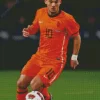 Wesley Sneijder Diamond Painting