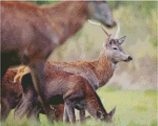 Barbary Stag Diamond Painting