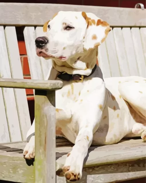 Blond Dalmatian On Bench Diamond Painting