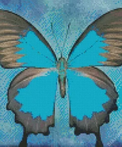 Blue And Black Butterfly Art Diamond Painting