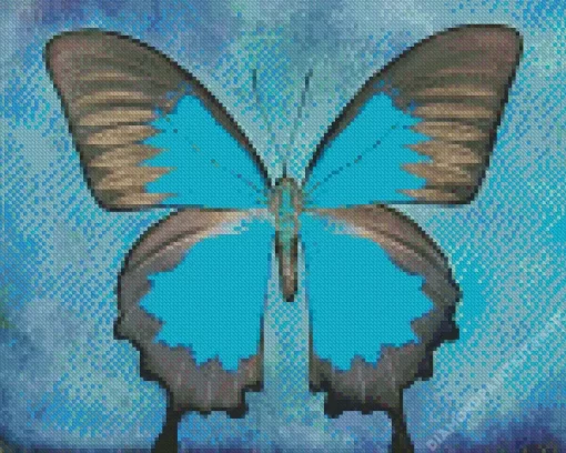 Blue And Black Butterfly Art Diamond Painting