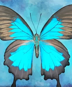 Blue And Black Butterfly Art Diamond Painting