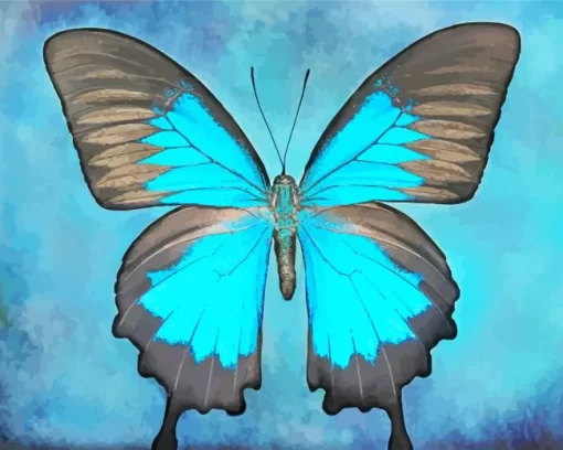 Blue And Black Butterfly Art Diamond Painting