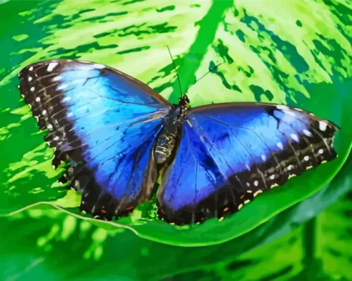 Blue And Black Butterfly On Leaf Diamond Painting