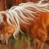 Brown Horse With Blond Hair Diamond Painting