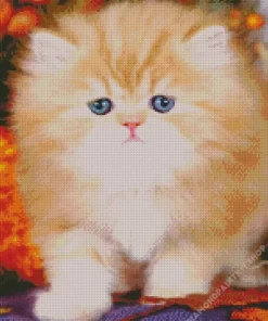 Fluffy Blonde Kitten Diamond Painting