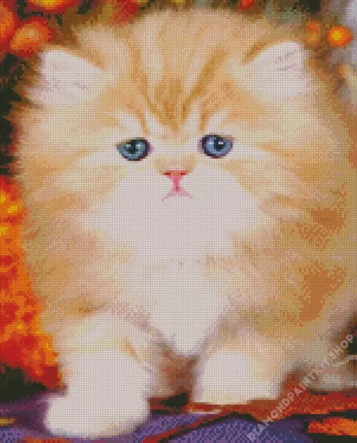 Fluffy Blonde Kitten Diamond Painting