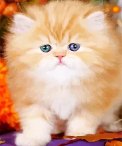 Fluffy Blonde Kitten Diamond Painting