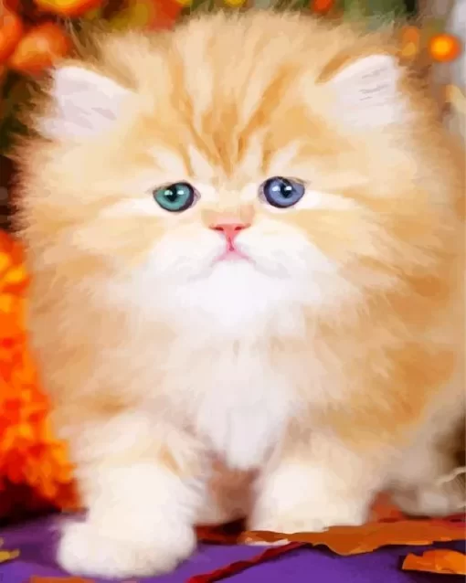 Fluffy Blonde Kitten Diamond Painting