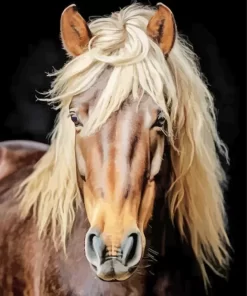 Horse With Blond Hair Diamond Painting