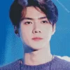 Oh Sehun Diamond Painting