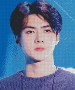 Oh Sehun Diamond Painting