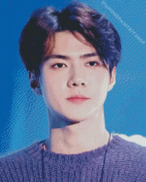 Oh Sehun Diamond Painting