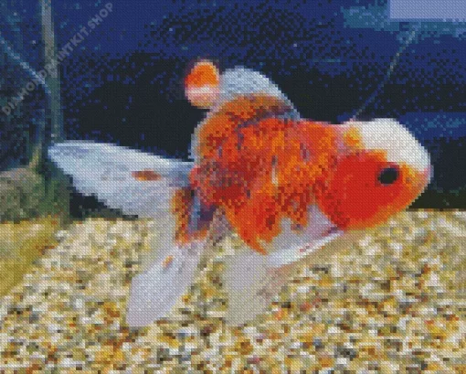 Oranda Goldfish Diamond Painting