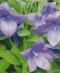 Platycodon Grandiflorus Diamond Painting