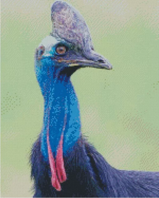 Southern Cassowary Diamond Painting