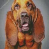 The Bloodhound Dog Diamond Painting