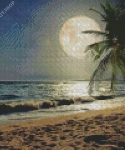 Beach With Moon Diamond Painting