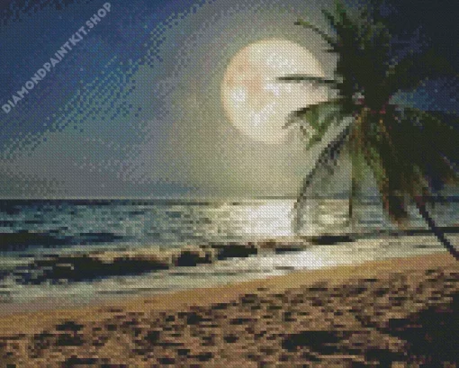 Beach With Moon Diamond Painting